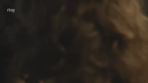 Valle salvaje capitulo 332 parte 5