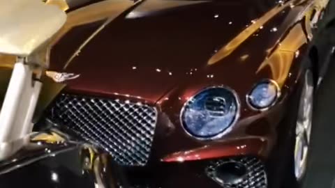 🤔👀 Which Luxury Car Would You Choose? | LuxurySportsCars