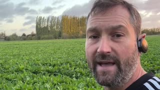 British Sugar asked me if I’m going to grow sugar beet next year