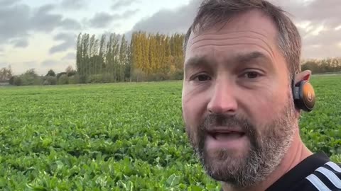 British Sugar asked me if I’m going to grow sugar beet next year 