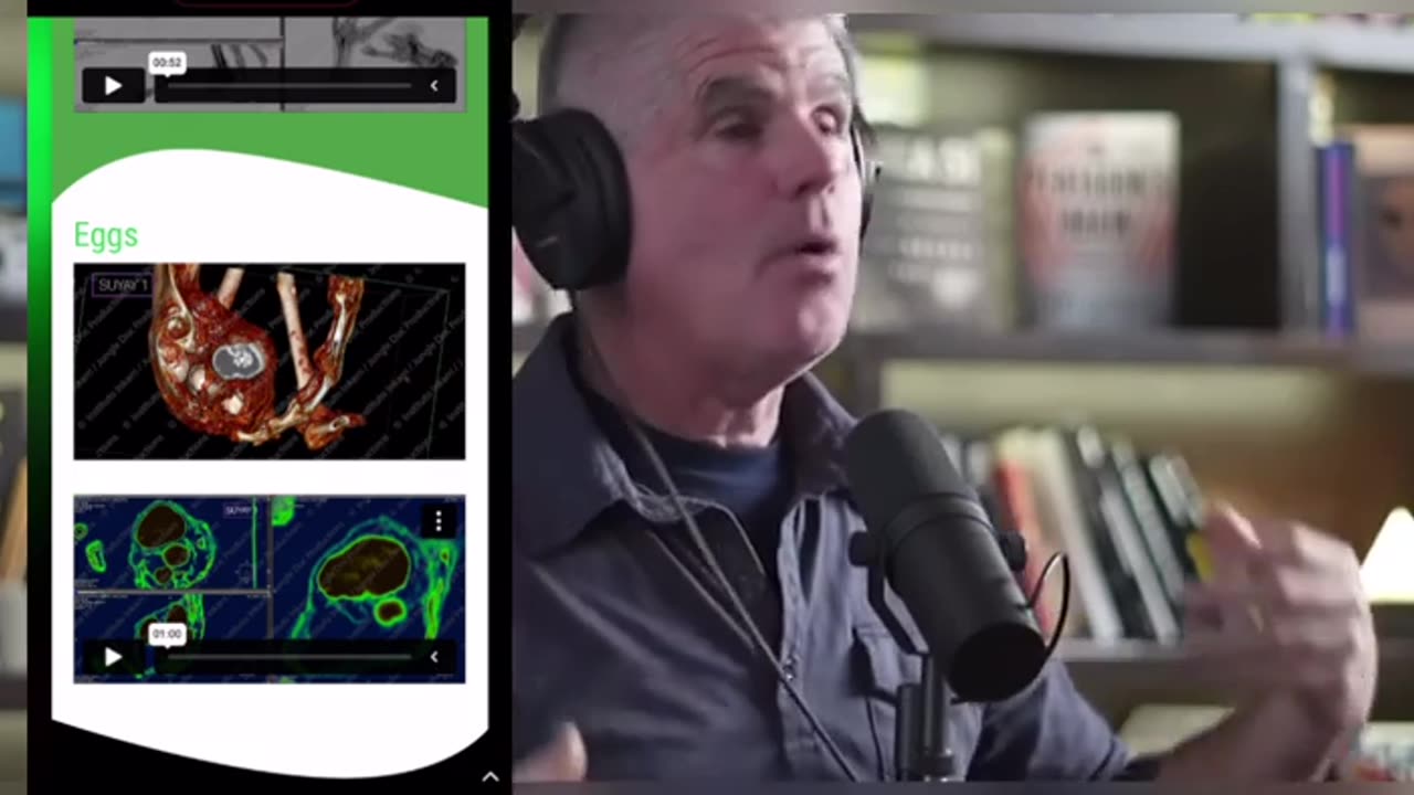 🕵️‍♂️📜 Ancient Myths Confirm Self-Fertilizing Beings? | TheTruthAbove