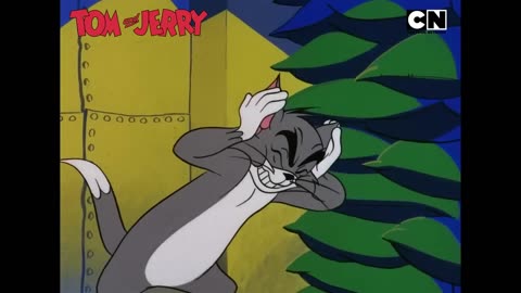 Funny Tom & Jerry - Nibbles’ Diwali Surprise for Tom!