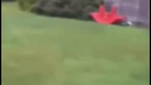 What is a Duendes??🤔🚨⏳