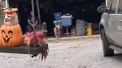 She Made His Efforts Worth It