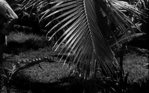 MOSS HART AND USO TROUPE IN HAWAII - MOSS HART AND USO TROUPE IN HAWAII - 111-adc-4160