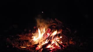 It's cold tonight. Let's have a fire.