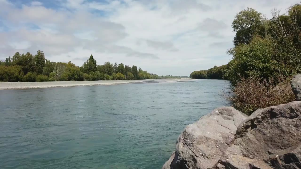 Summer is Teeming with Life all around! | Beautiful New Zealand | Short Walks