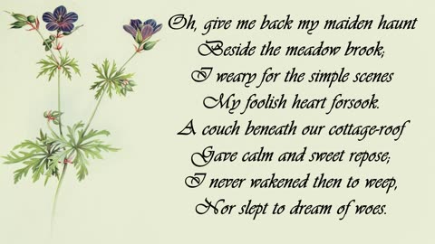 Geranium, Silver leaved - The Language of Flowers
