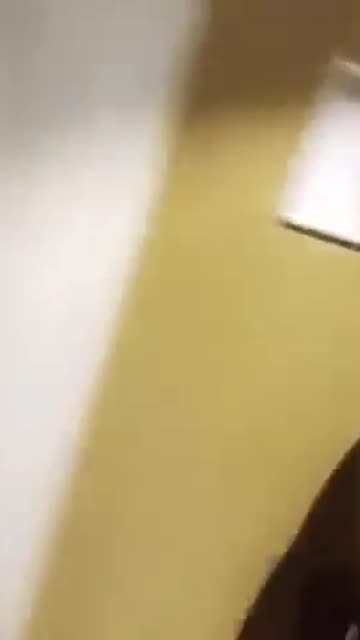 Quick Preview of My Gains FLEX 🔥 ​⁠ 👀 Just a quick preview