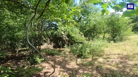 Artillery Unit Disrupts Enemy Forces in Donetsk Region