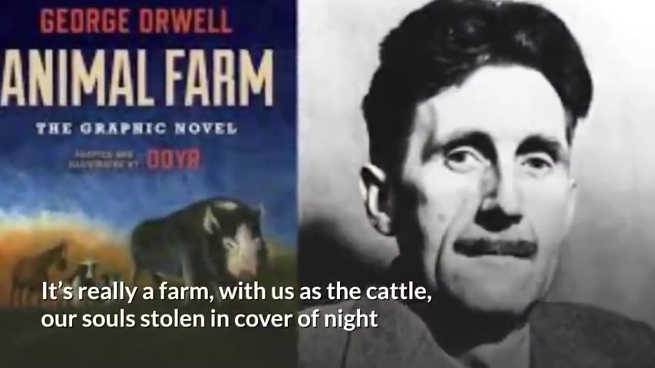 It's about adrenochrome