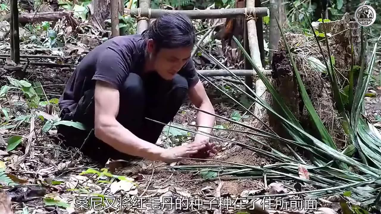 Quiet Survival Work with Deep House Remix