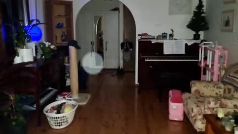 Incredible spirit orb activity and interaction