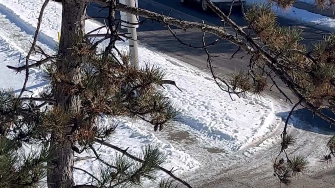 Canadian Drivers Prevent Crashes While Sliding On Slick Road