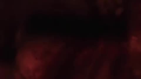 Mafia III: Definitive Edition - I dont know why i went