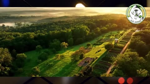 Plot Sickens: A New American Government - Rebuilding on National Socialist Principles