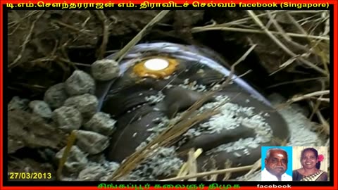 My Fathers funeral video , i still cant forget it. I joined one TMS song with it 27-03-2013