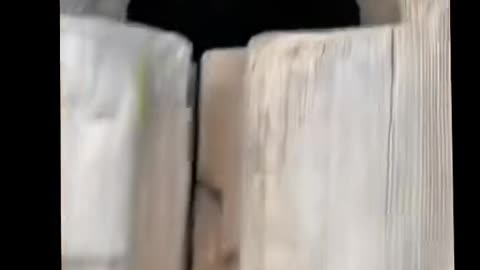 😨👻 #perte #portamineiperte #neiperte #xte #foryou #foryourpage #fypage #... | TheHauntingHour