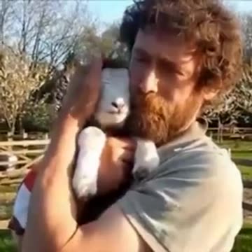 LOOKING FOR FRUIT - DAILY DEVOTIONAL ❤️