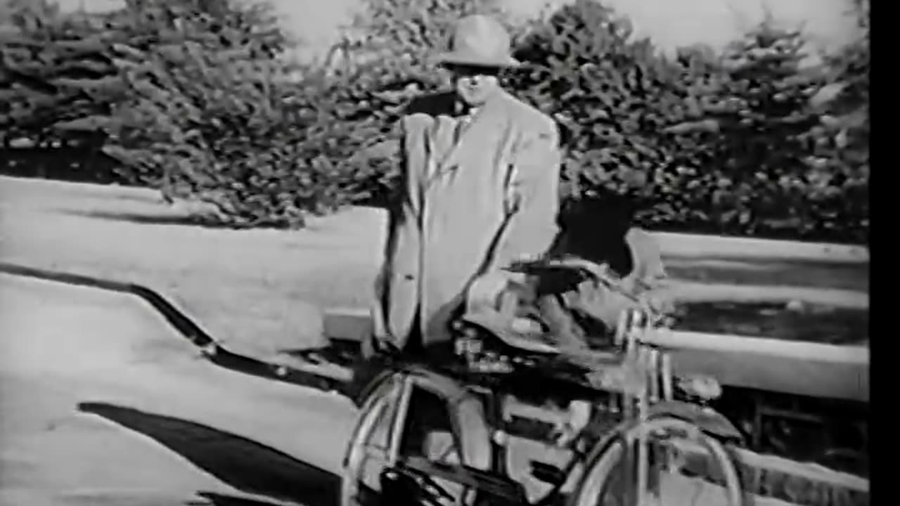 Duck and Cover - Duck and Cover - ava11109vnb1