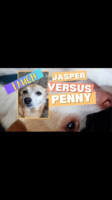 HILARIOUS Opposite Reactions!