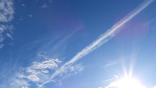 27th Oct. 2025 (1255 to 1515) NEUK - Just a couple of offenders