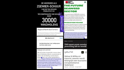 Noordzee zeewier-schuur 1.000.000 ton zeewier productie p/jr ter compensatie schade 30000 windmolens