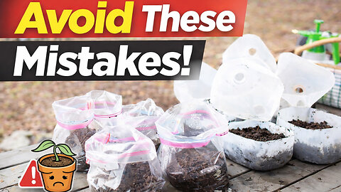 The Winter Sowing Mistakes That Kill Seedlings (And How to Fix Them)