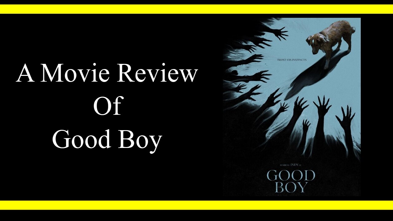Good Boy (Movie Review)