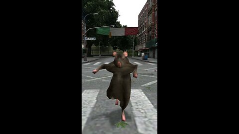 Rat dance 🕺