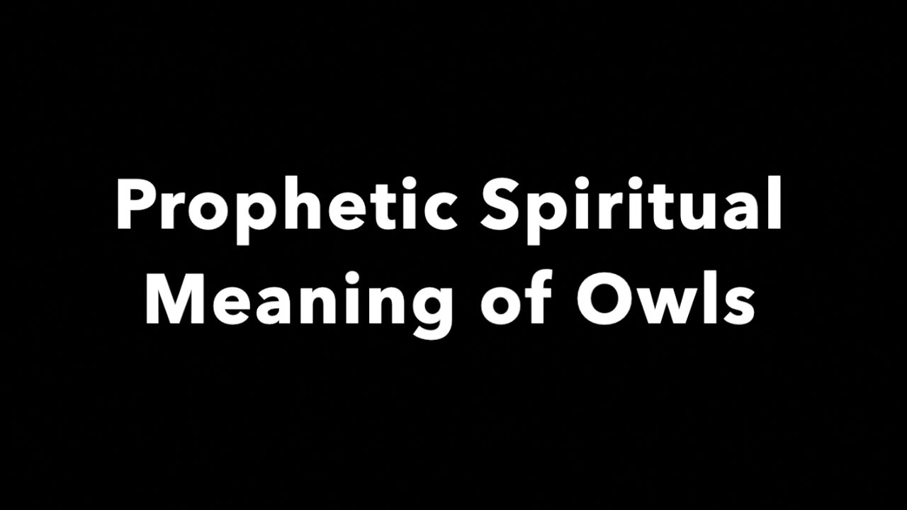 Prophetic Spiritual Meaning of Owls - God Is Speaking Through Signs Of Birds! It's Biblical!