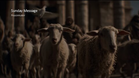 Sunday Message | Peacemaker