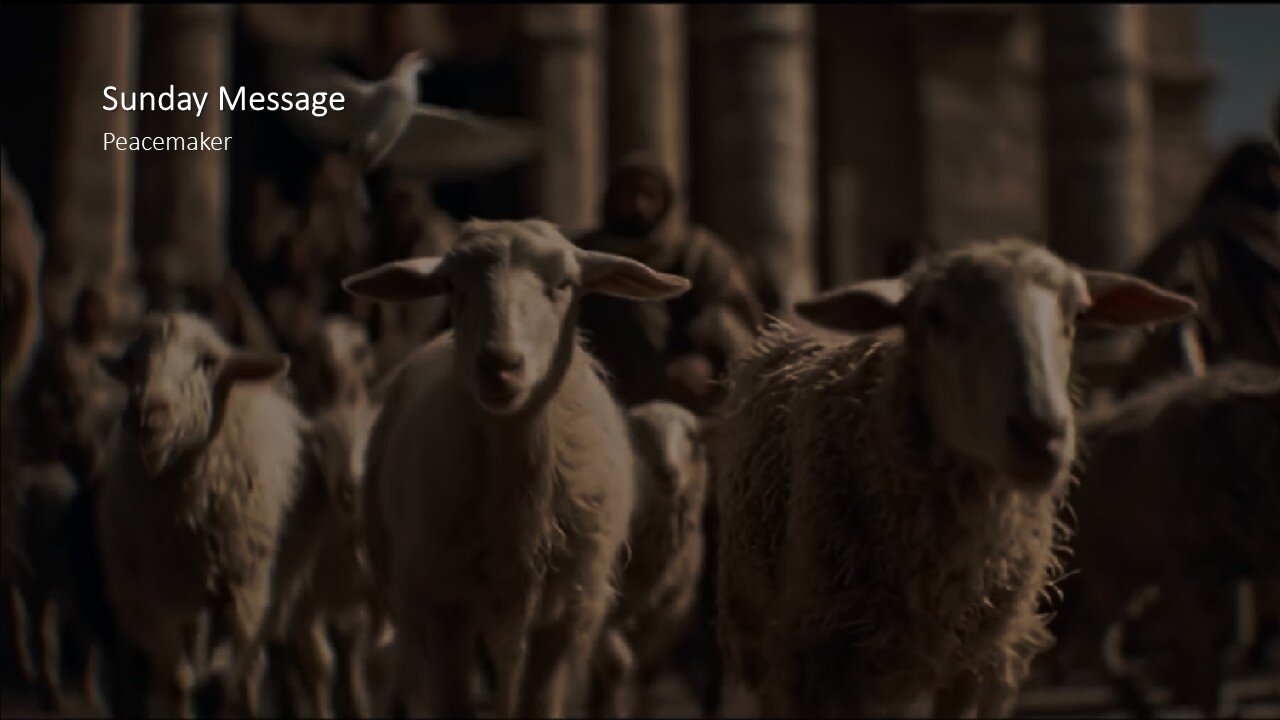 Sunday Message | Peacemaker