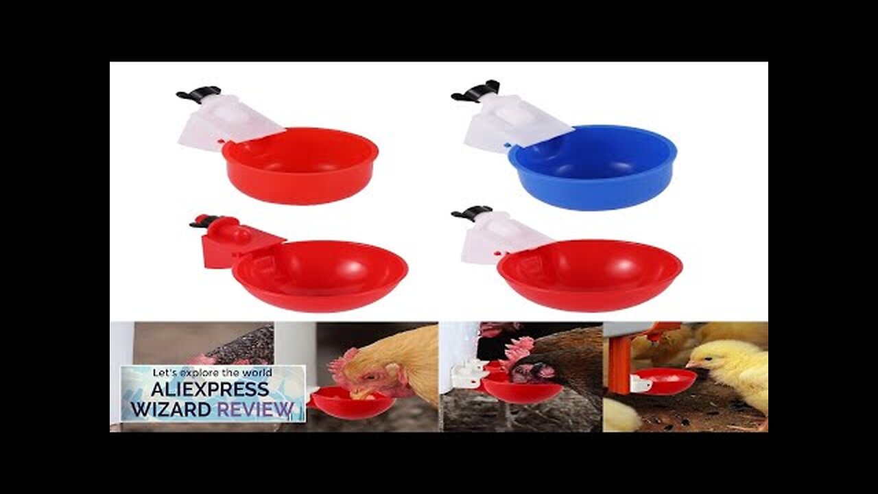 poultry automatic drinking water feeding cup drinking fountain chicken quail drinker cup Review