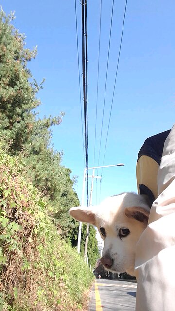 20251121. God loves me.