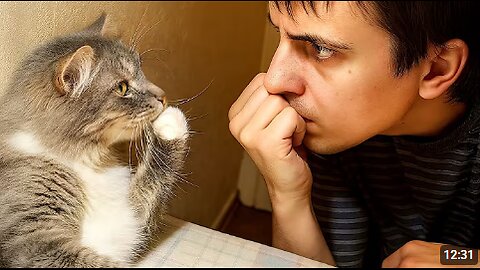 When Your Cat Starts Imitating You 😂 Funny Cats and Humans