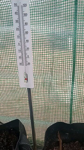 inside greenhouse temperature