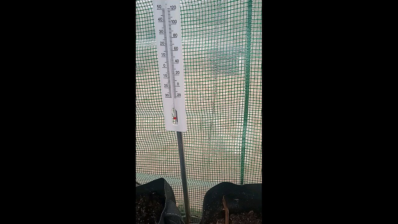 inside greenhouse temperature