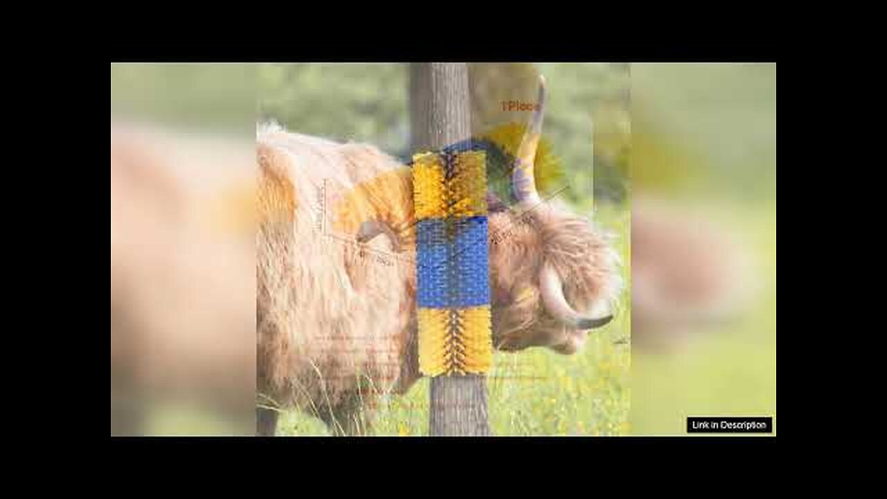 Livestock Scratching Brush 20 in Horse Scratcher Brush for Itch Relief Review