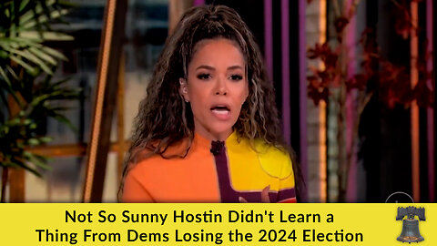 Not So Sunny Hostin Didn't Learn a Thing From Dems Losing the 2024 Election