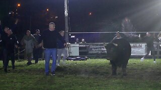 Finale srednje kategorije Garinča vs Kobra Bronzani Majdan 2025