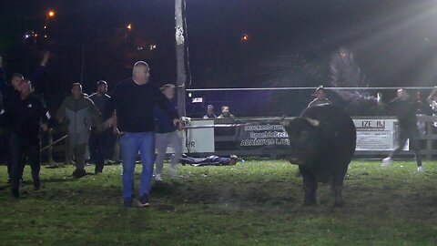 Finale srednje kategorije Garinča vs Kobra Bronzani Majdan 2025