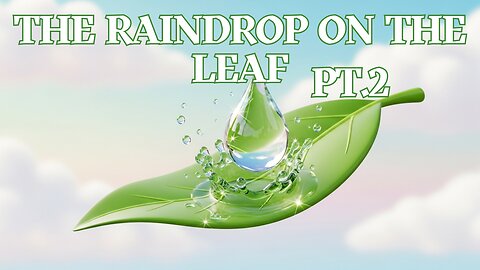 The Raindrop on the Leaf Pt 2 - Calming Kids Song