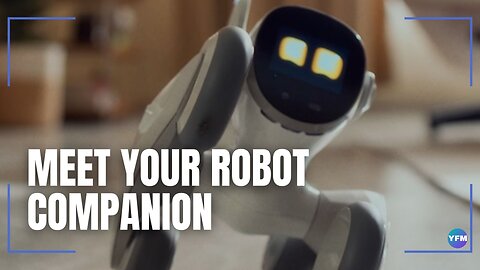 Meet your robot companion
