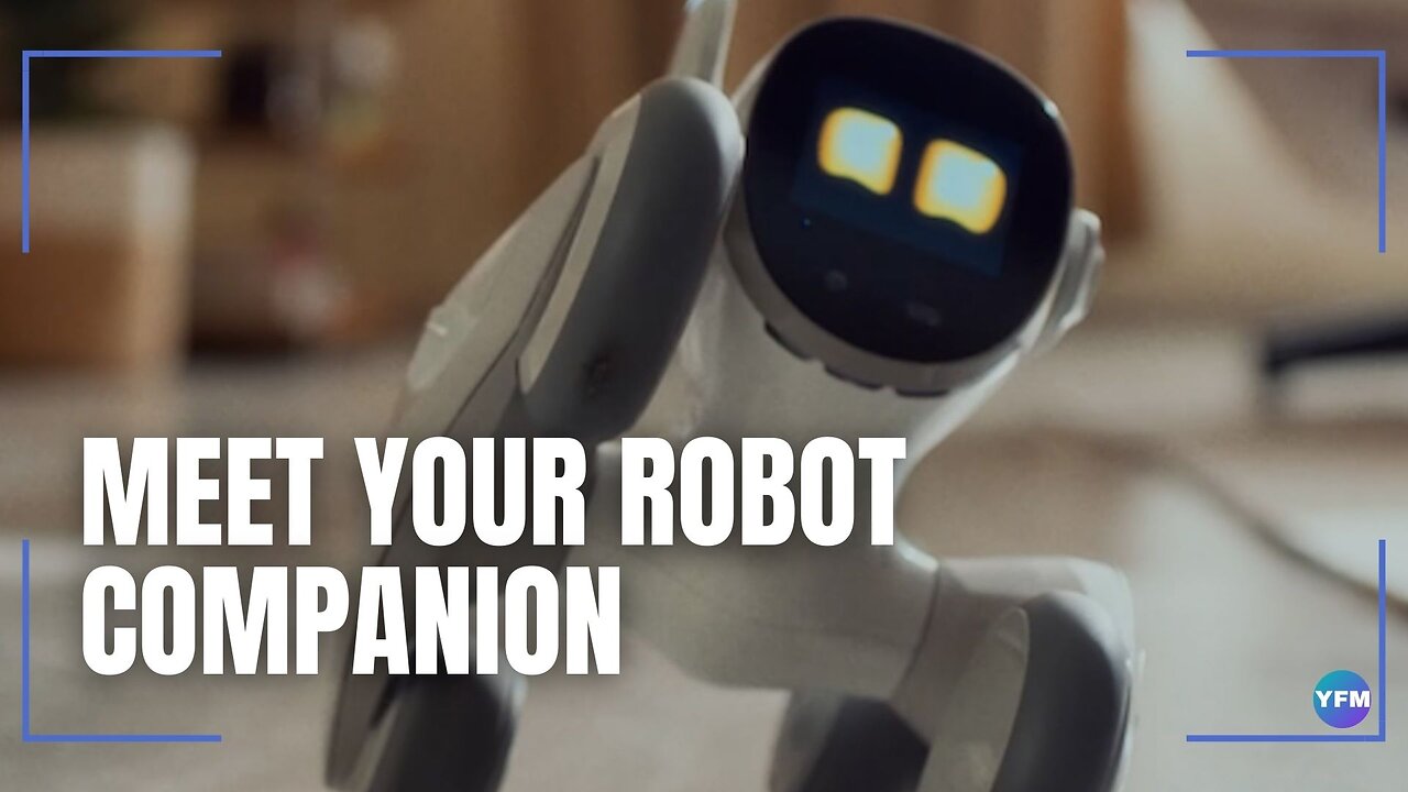 Meet your robot companion