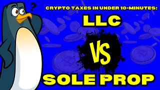 💰 LLC or Sole Proprietor? Simple Crypto Tax Tips for 2024!