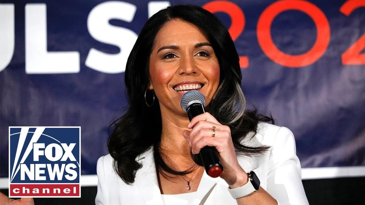 Sen. Hawley: Tulsi Gabbard is ‘winning over’ her critics