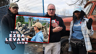 'A lot of questions to be answered' after ostrich slaughter