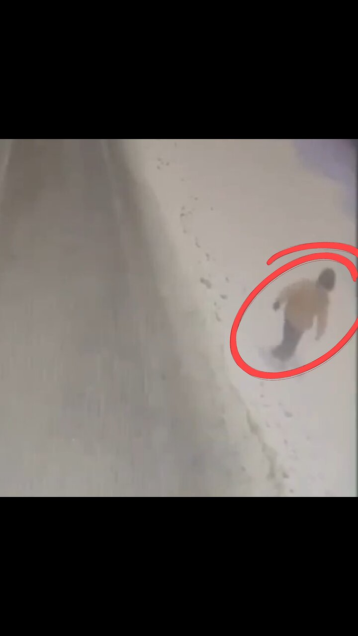 Conductora de autobús rescata a un niño perdido durante una tormenta de nieve