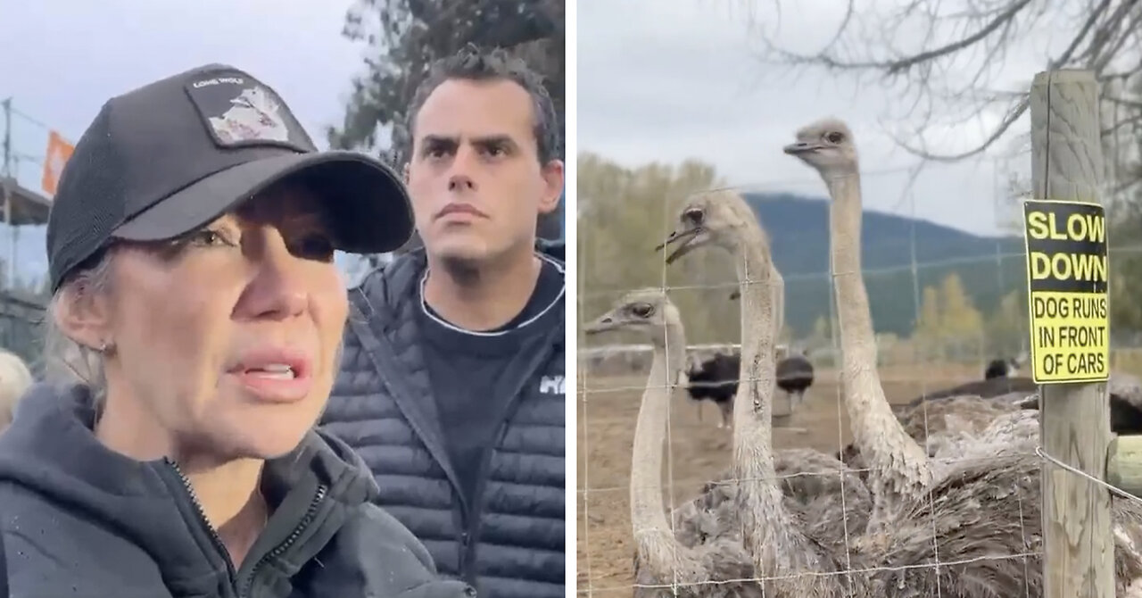 BREAKING: Supreme Court greenlights CFIA’s mass killing of healthy ostriches